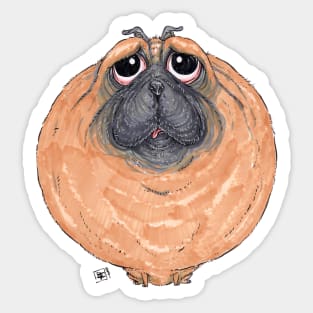 Pug Dog Sticker